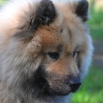 Программы лояльности казино без депозита - бонусы и предложения