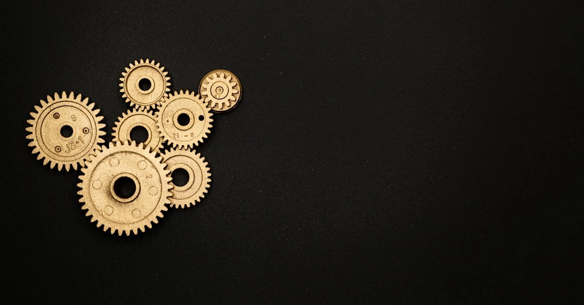 Слот Wolf Gold с символами диких животных на игровых барабанах