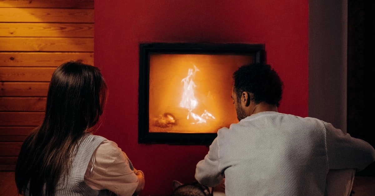 Игровой слот The Dog House Megaways с собаками и выигрышными комбинациями